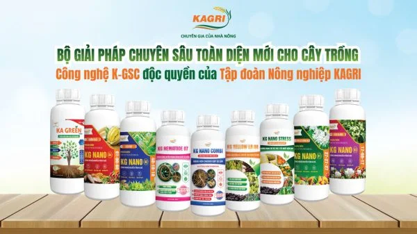 GIẢI PHÁP CỦA KAGRI