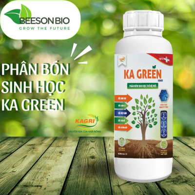 KA GREEN LIQUID – KÍCH RỄ, BUNG ĐỌT, MẬP CÀNH, DÀY LÁ