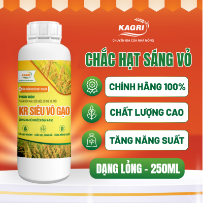 KR SIÊU VÔ GẠO