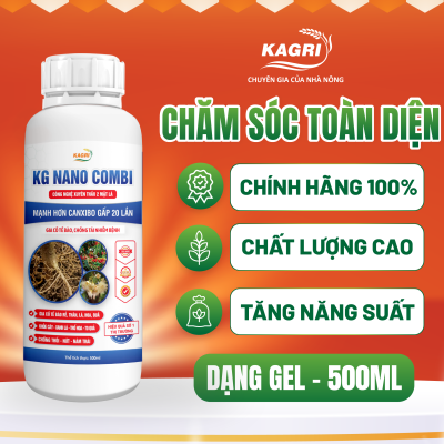 KG NANO COMBI 500ML