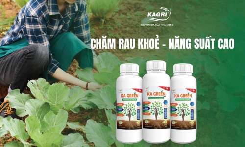 KA GREEN – Giải pháp phân bón sinh học tối ưu cho cây ăn trái, rau màu